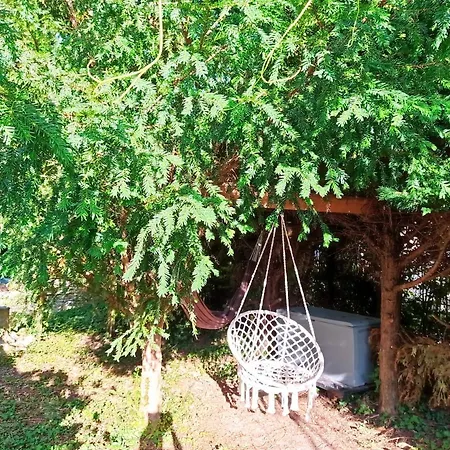 Irziana - Au jardin d'Henriville-3